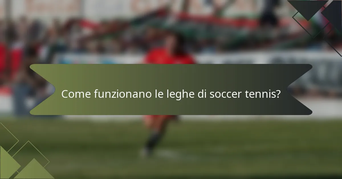 Come funzionano le leghe di soccer tennis?