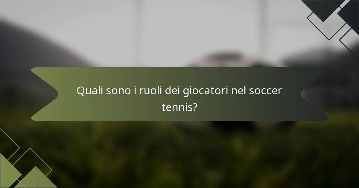Quali sono i ruoli dei giocatori nel soccer tennis?